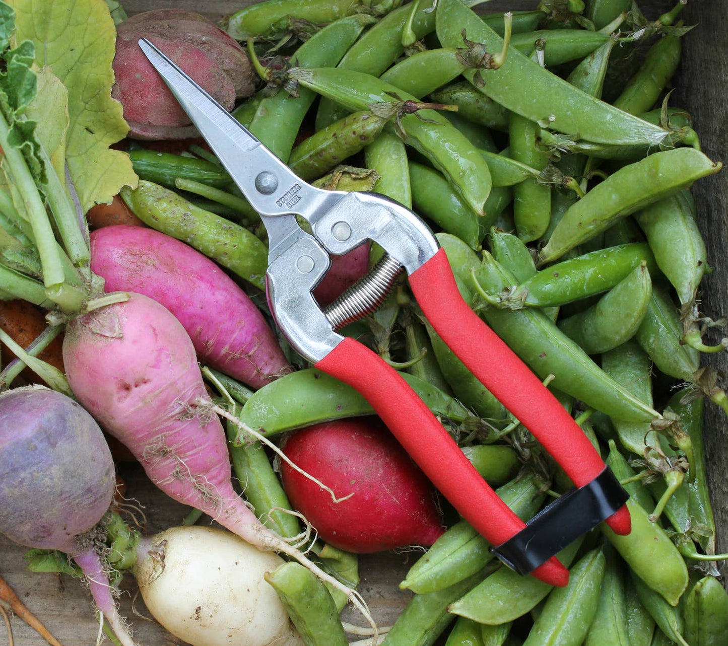 Garden Shears - Needle Nose