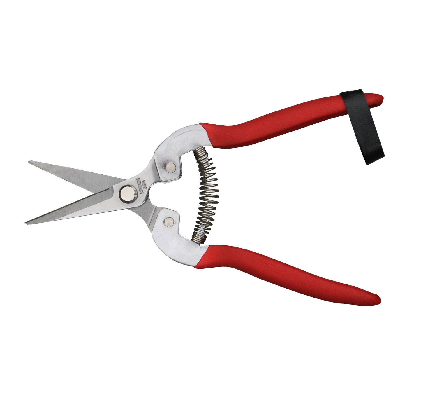 Garden Shears - Needle Nose