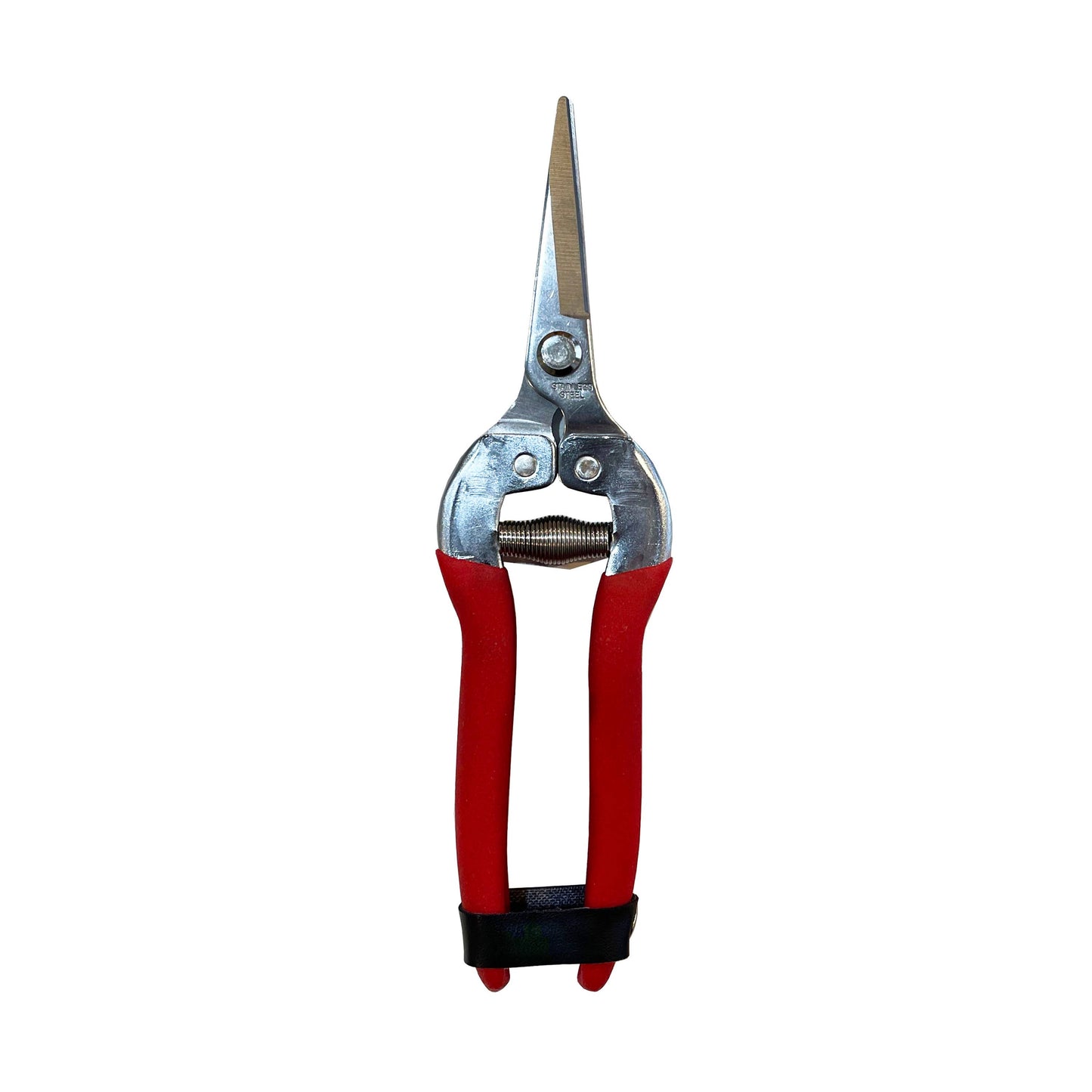 Garden Shears - Needle Nose