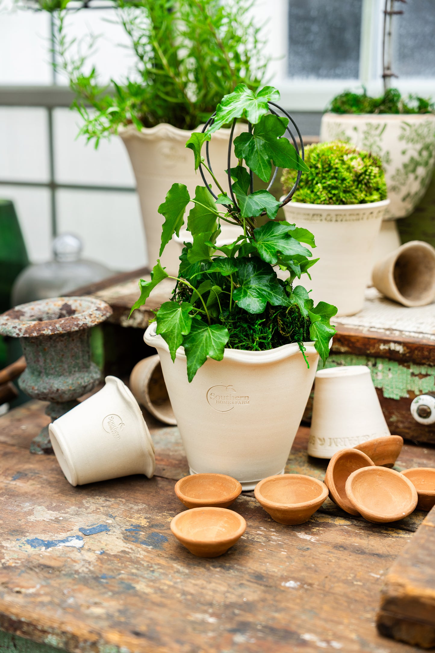 SHF Pottery Collection - 7 Varieties