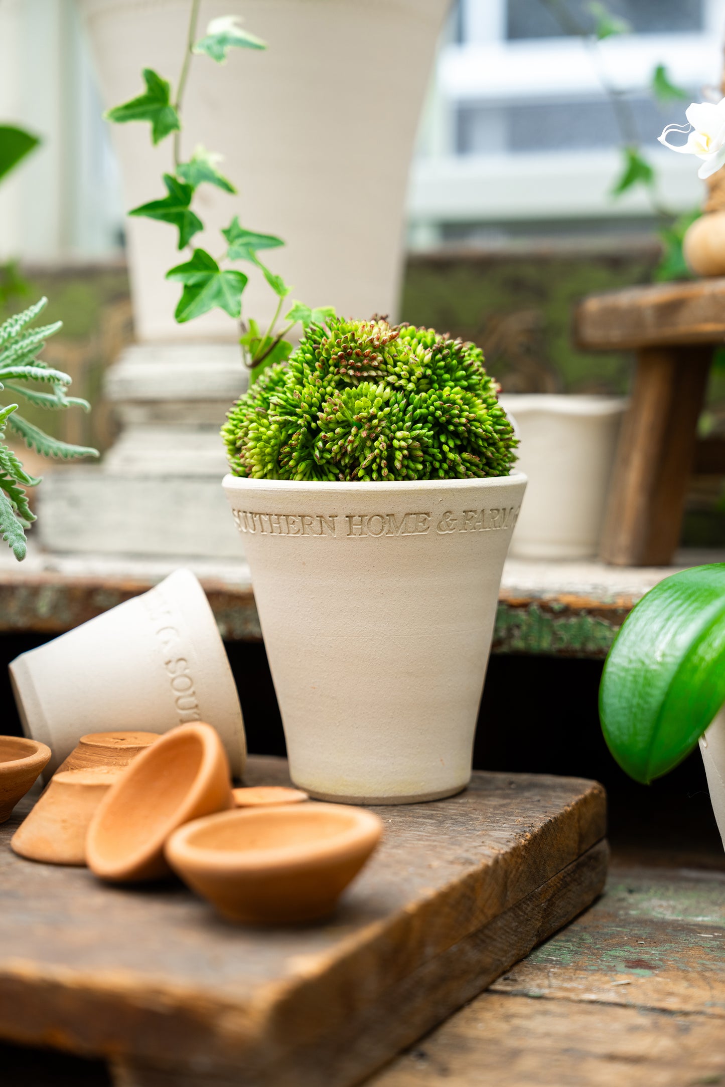 SHF Pottery Collection - 7 Varieties