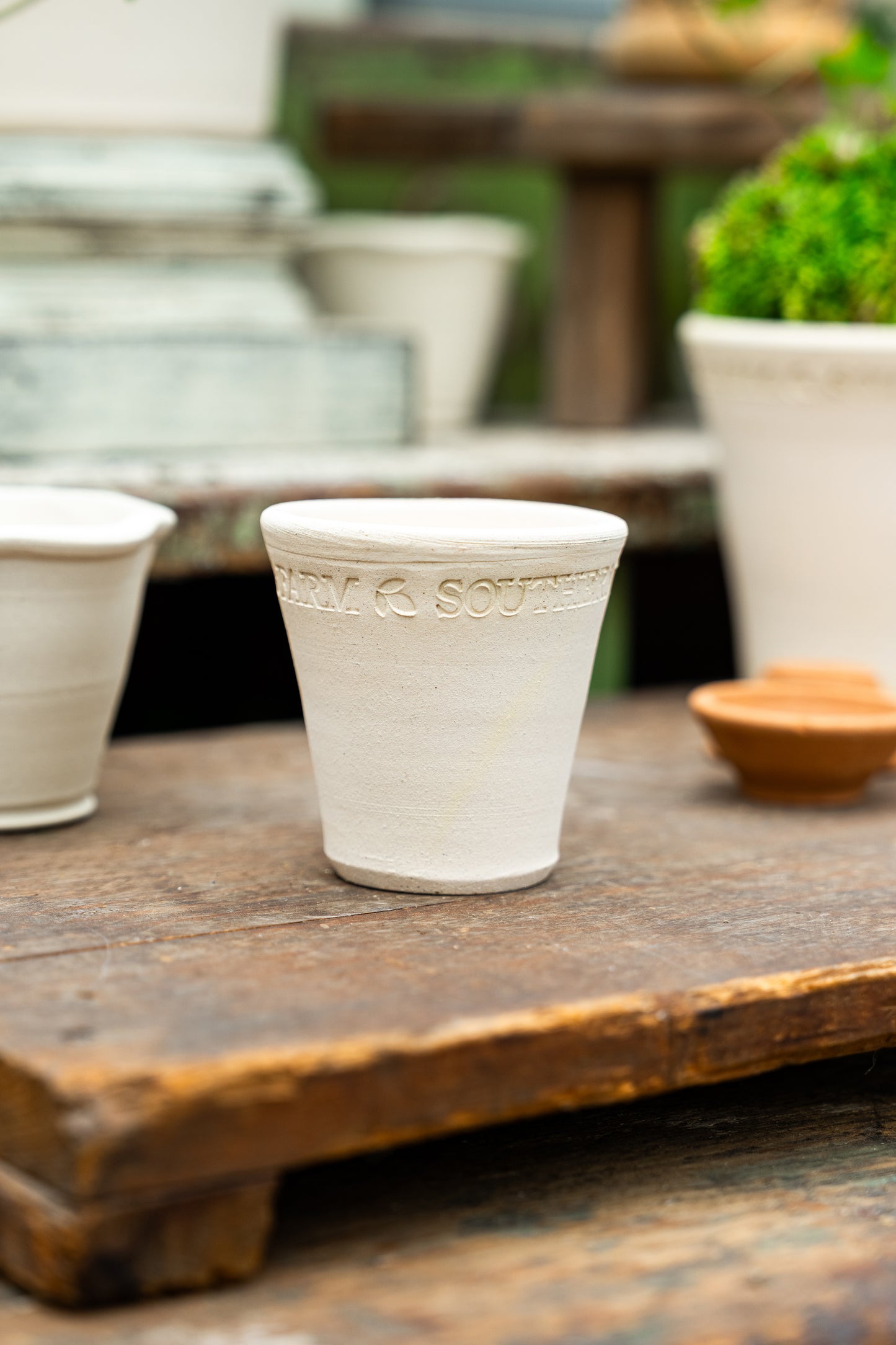 SHF Pottery Collection - 7 Varieties