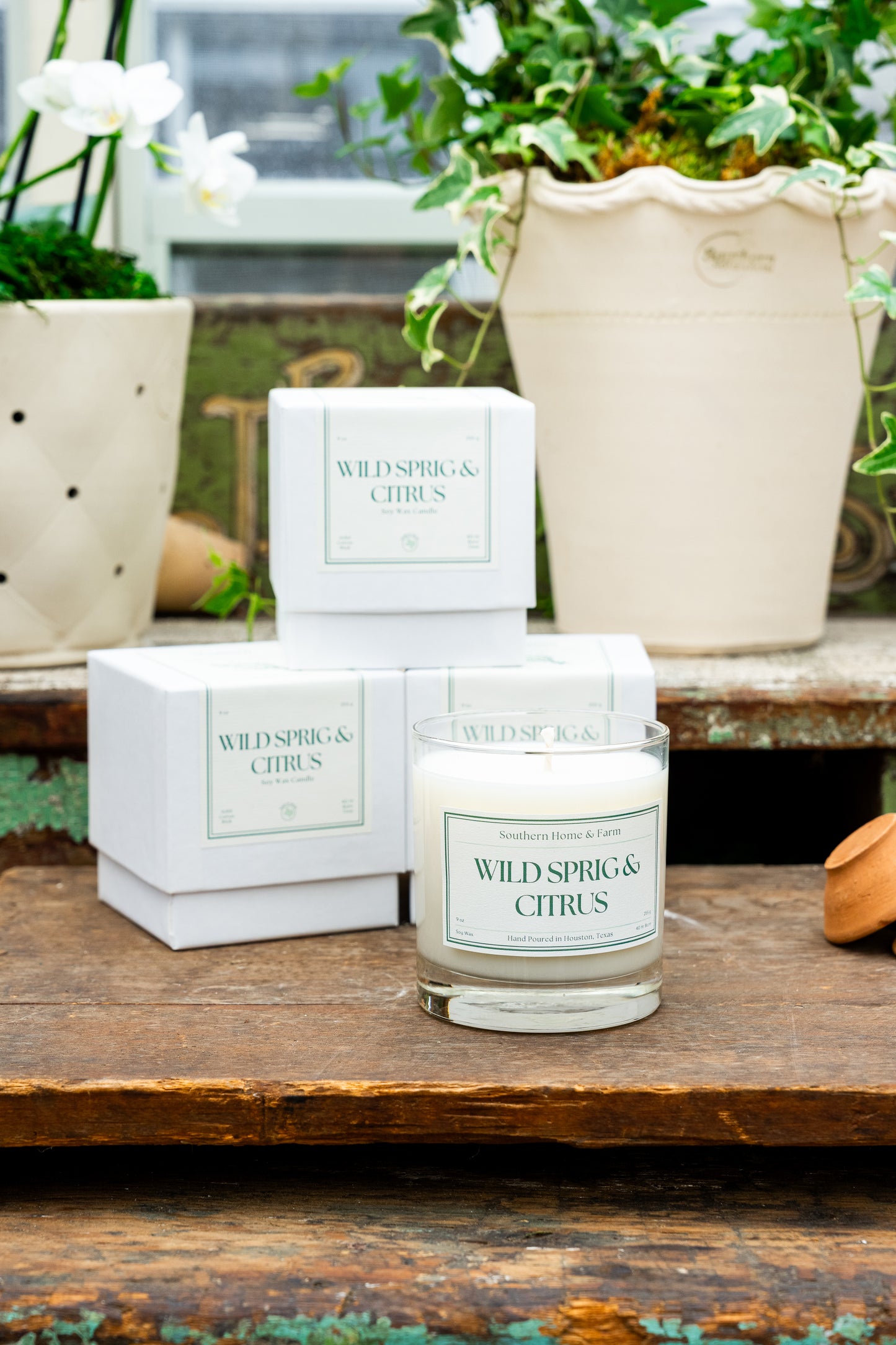SHF Candle - Wild Sprig & Citrus