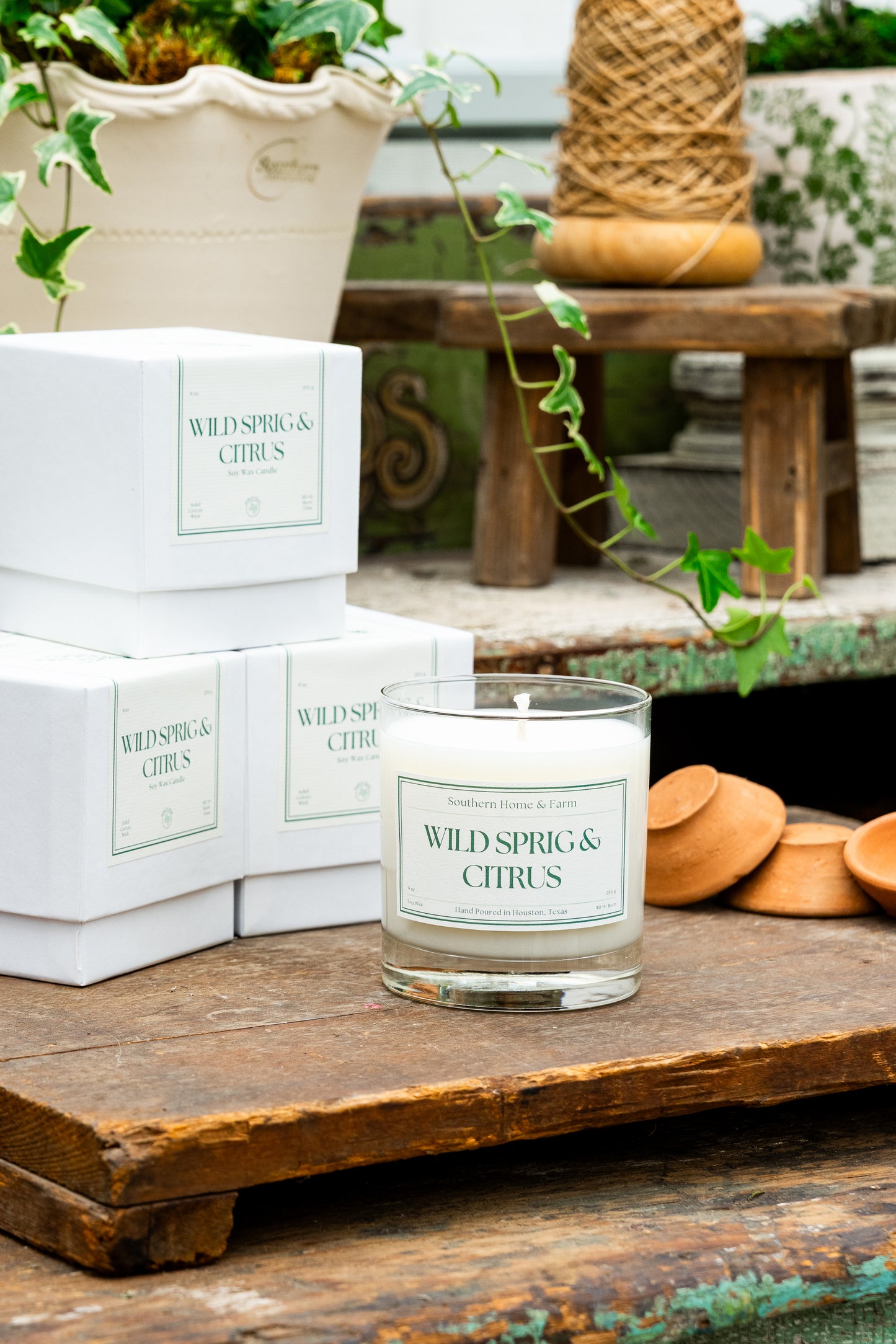SHF Candle - Wild Sprig & Citrus