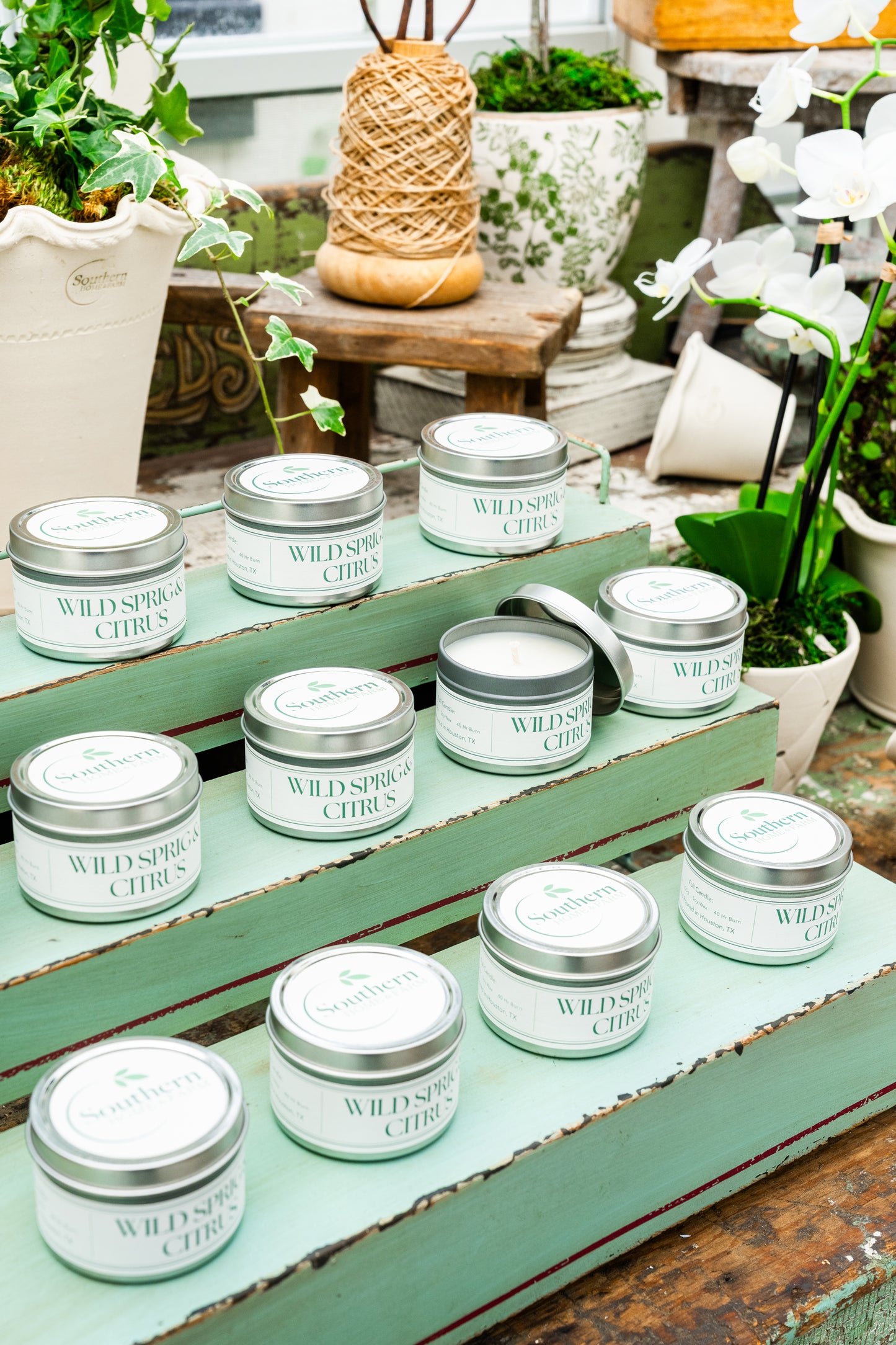 SHF Candle - Wild Sprig & Citrus