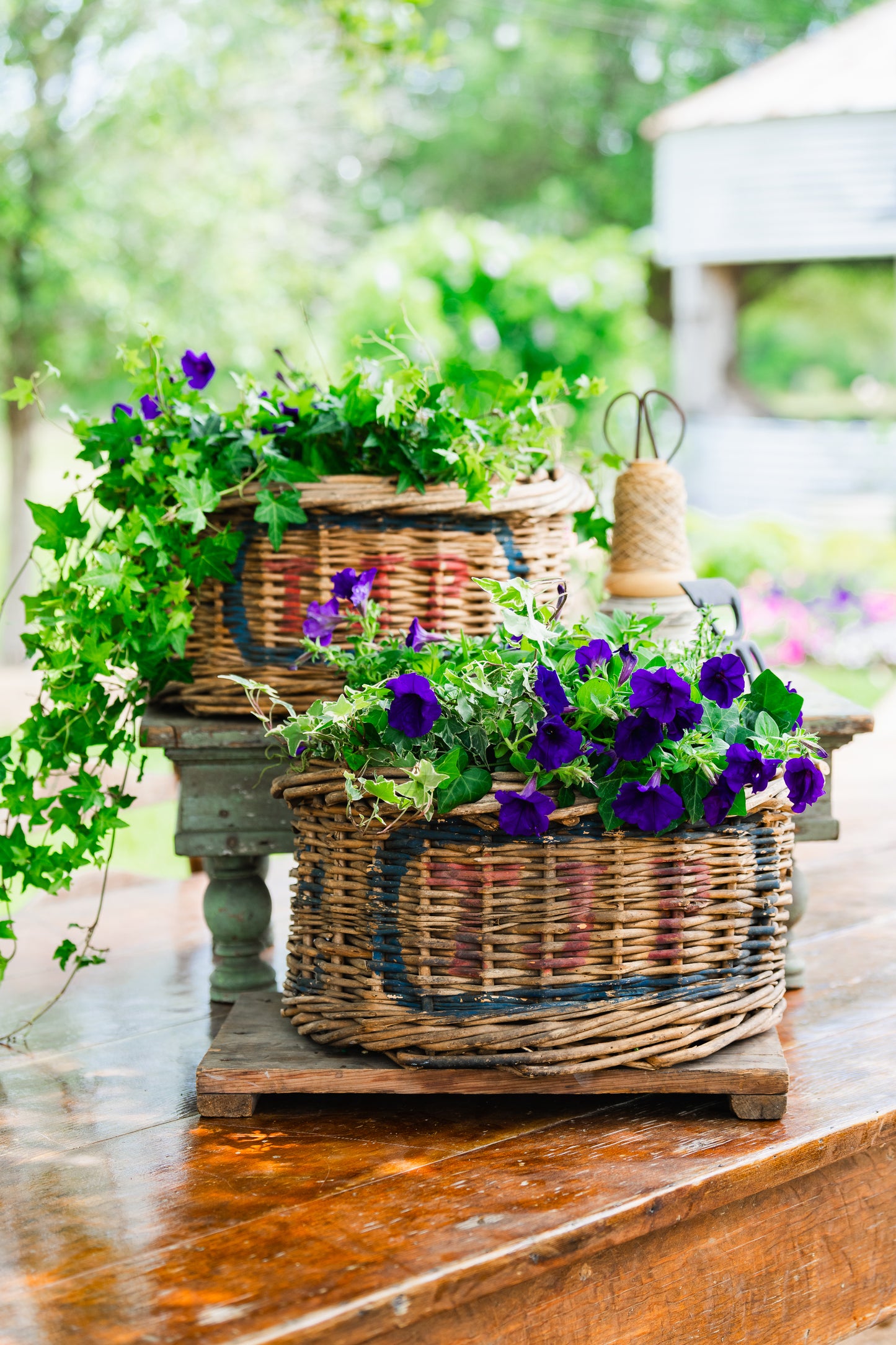 Fruit Picking Baskets