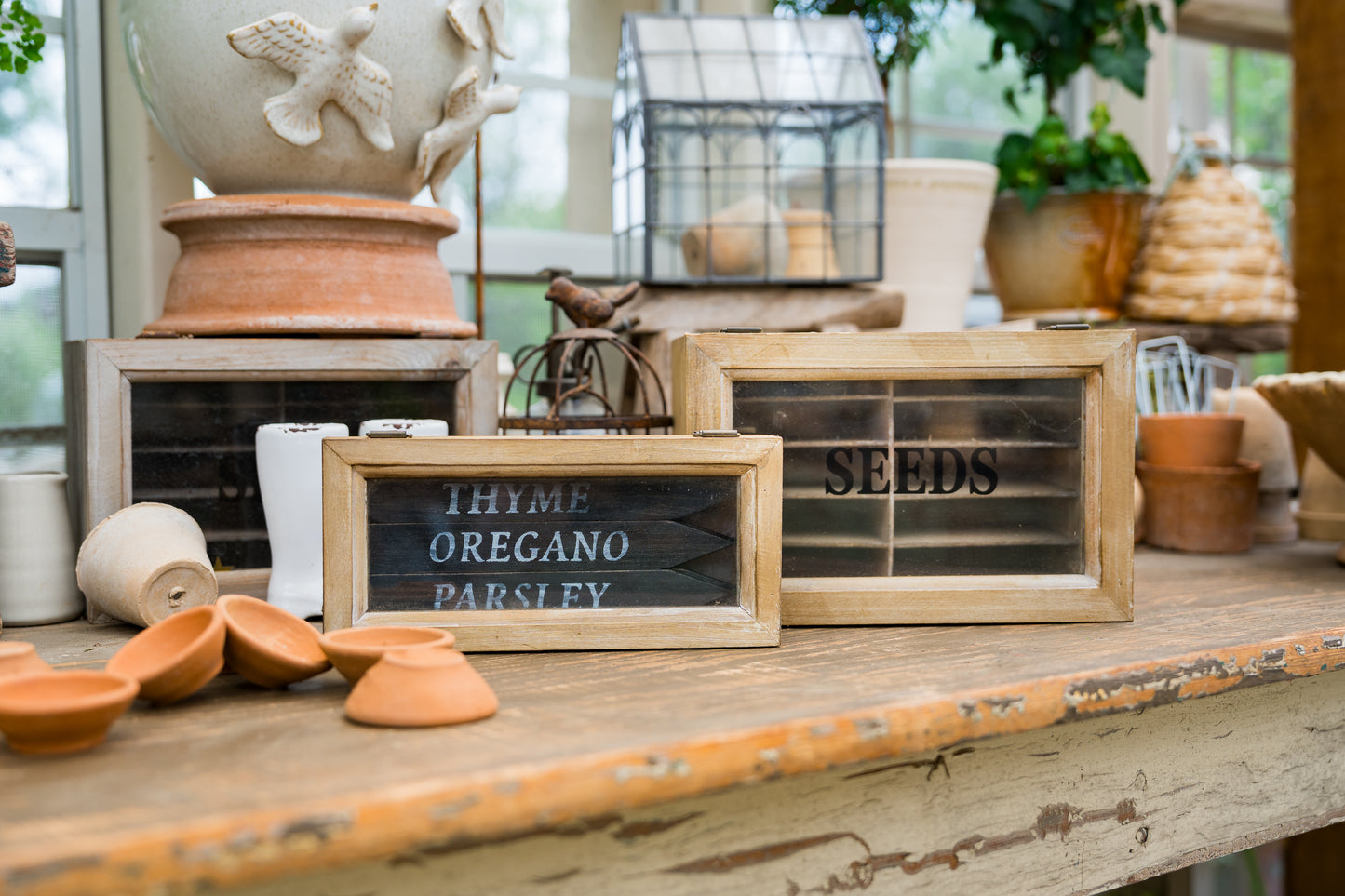 Seed Box