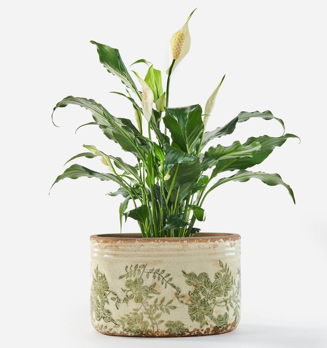 Maison - Stoneware Oval Botanical Planter