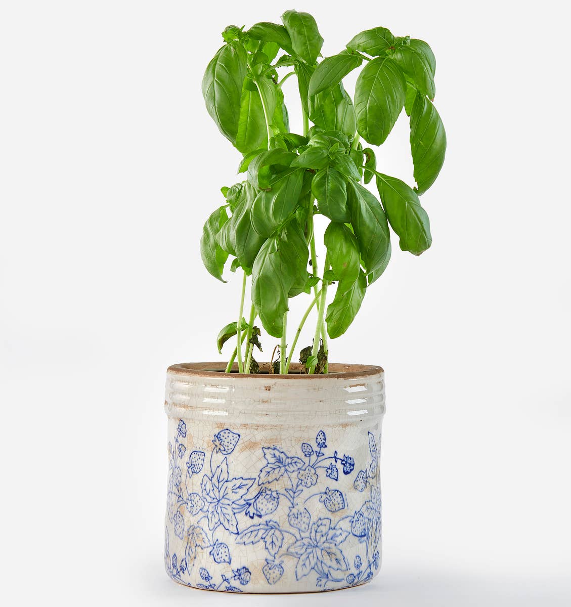 Maison - Ceramic Round Planter w/Blue Flower
