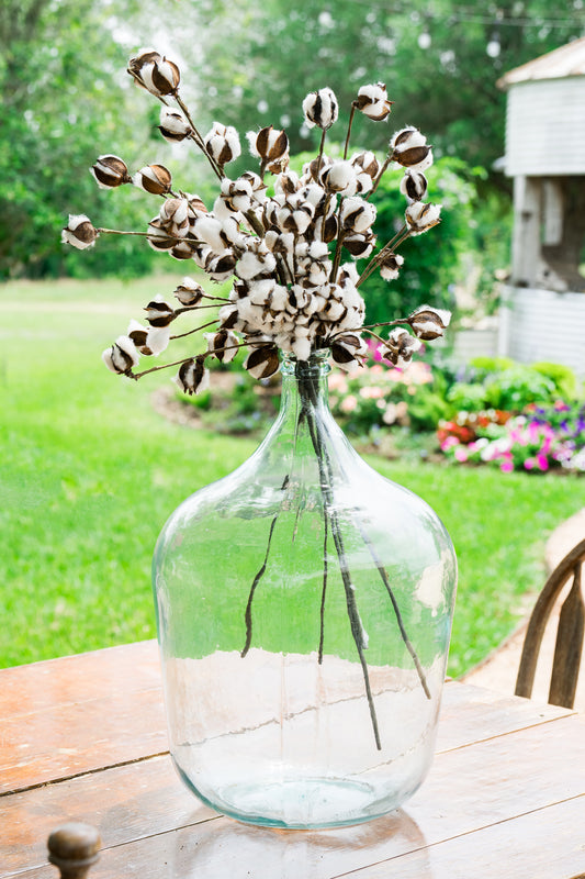 Cotton Stems -Set of 6
