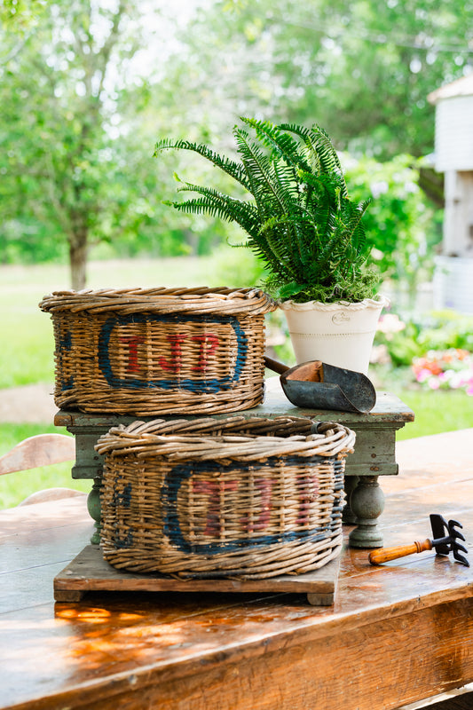 Fruit Picking Baskets