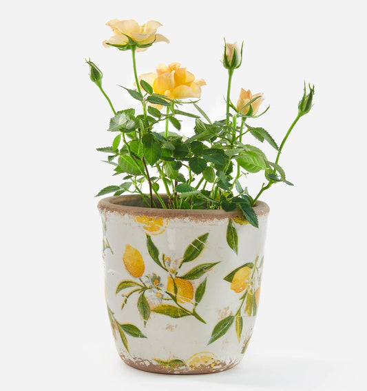 Maison - Stoneware Lemon Planter - Small